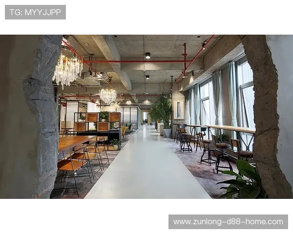 中国尊龙集团在房地产开发中的创新设计理念与项目成功经验