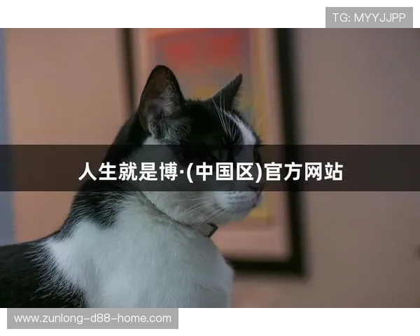 尊龙凯时人生就是博首页为新手玩家提供详细的入门指南和操作技巧快速上手