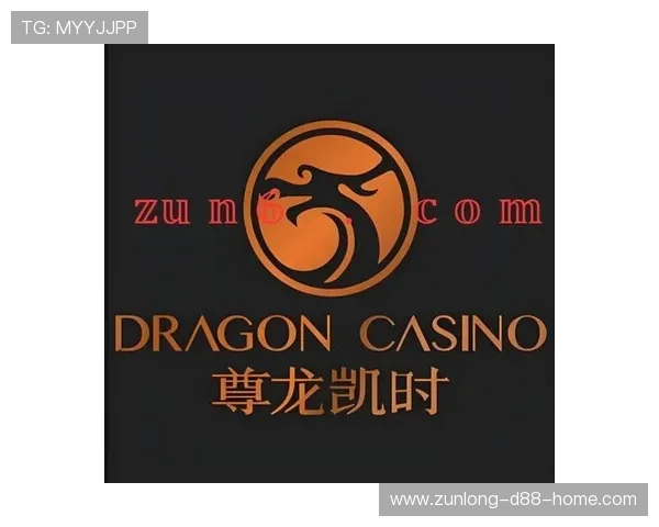 尊龙时凯人生官网：最新尊龙时凯人生促销活动与优惠政策一览